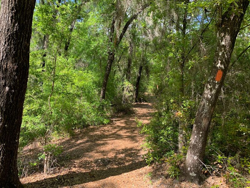 Mike Roess Gold Head Branch State Park – Keystone Heights