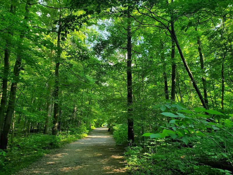 Biking the Cuyahoga Valley Trails