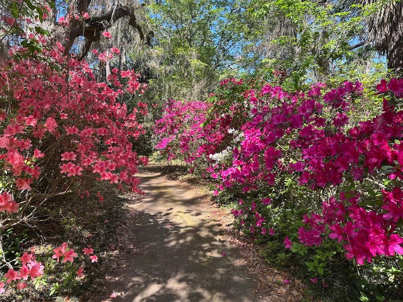 Alfred B. Maclay Gardens State Park