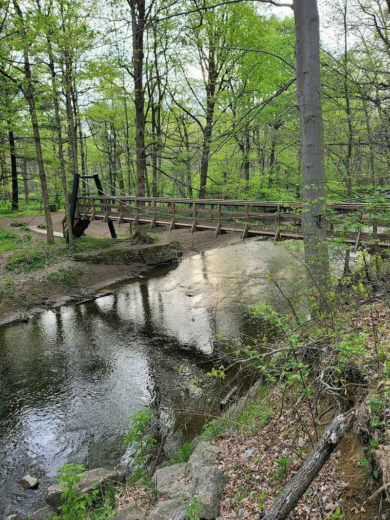 Poland Municipal Forest
