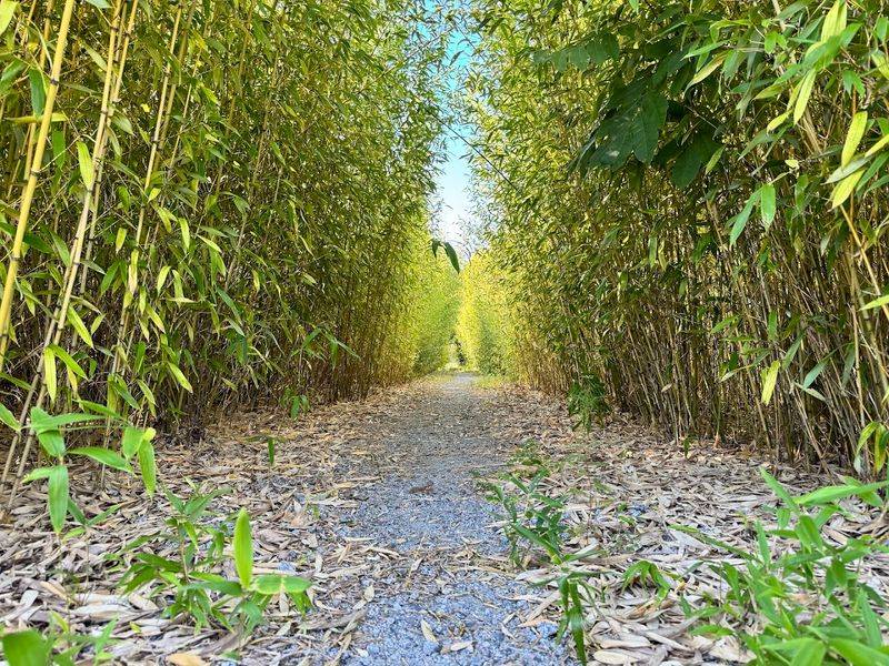 Bamboo Farm & Coastal Gardens