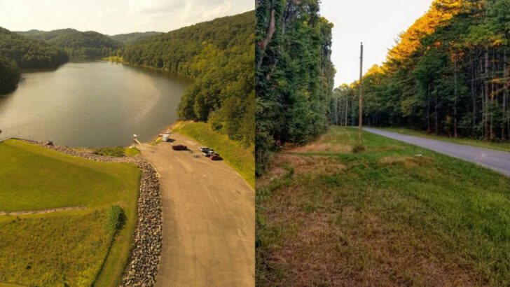 Massive Trees and Scenic Trails Keep Nature Lovers Returning to This Ohio Park