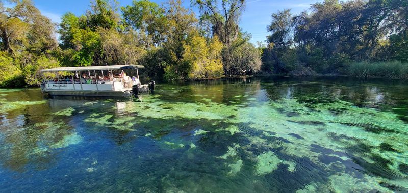 Weeki Wachee Springs State Park, Spring Hill, Hernando County