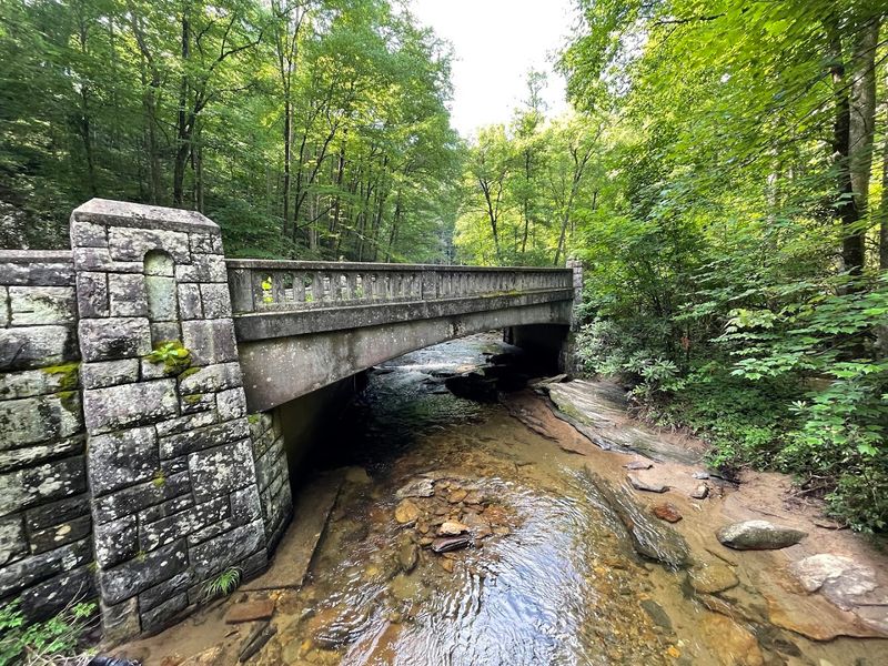 Moore Cove Falls Trail — Pisgah National Forest