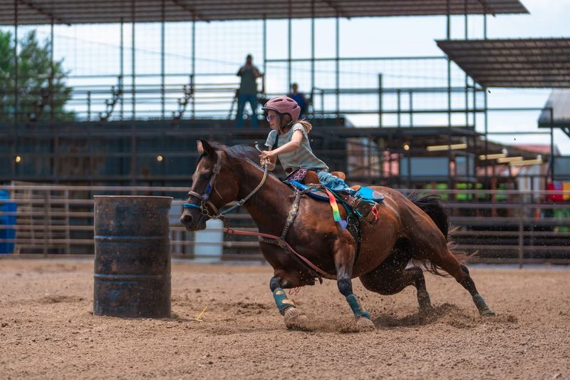 Camp Dream Stables, Powder Springs