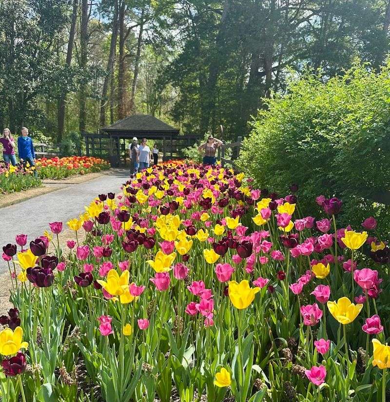 Reynolda Gardens (Winston-Salem)