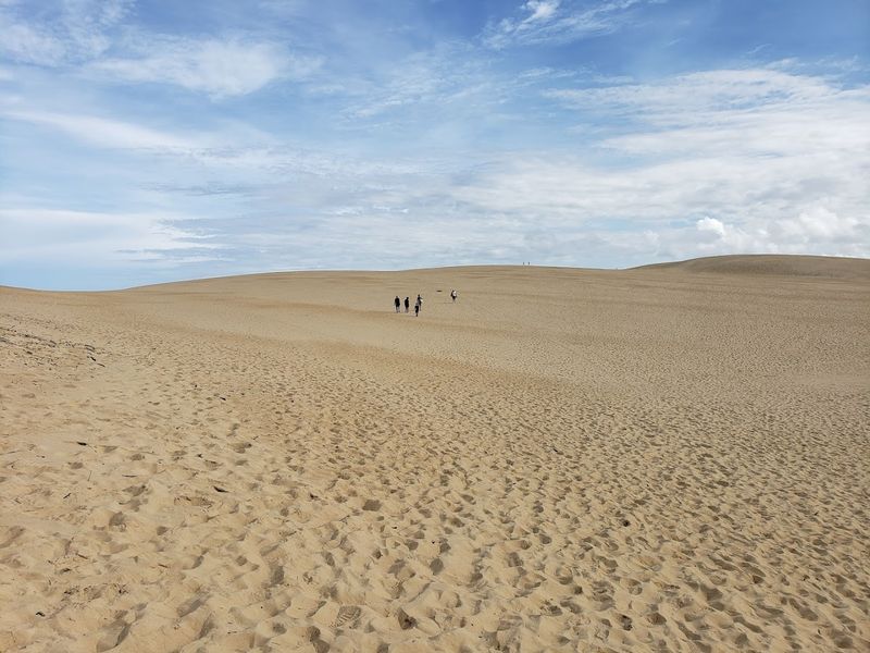 Jockey&rsquo;s Ridge State Park