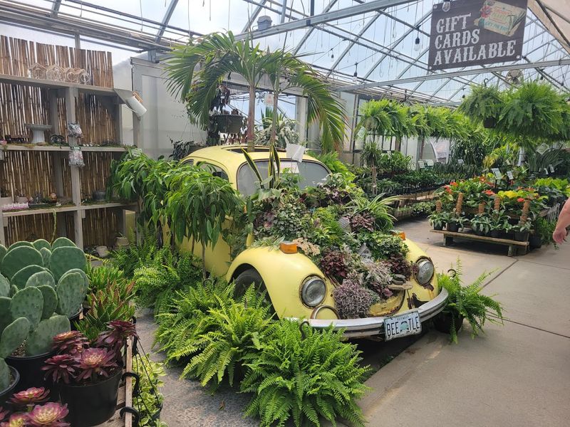 Instagram-Worthy Atmosphere With Photo Opportunities Everywhere