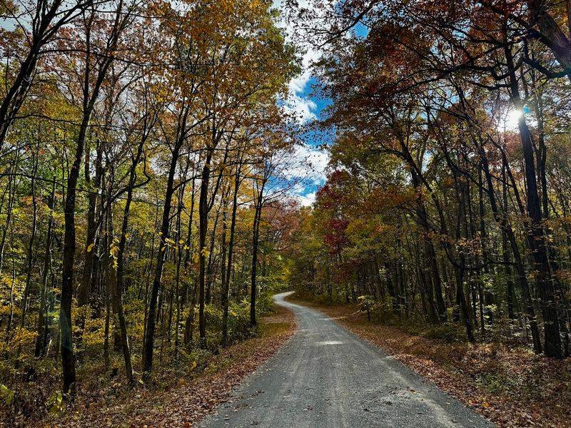 Rothrock State Forest