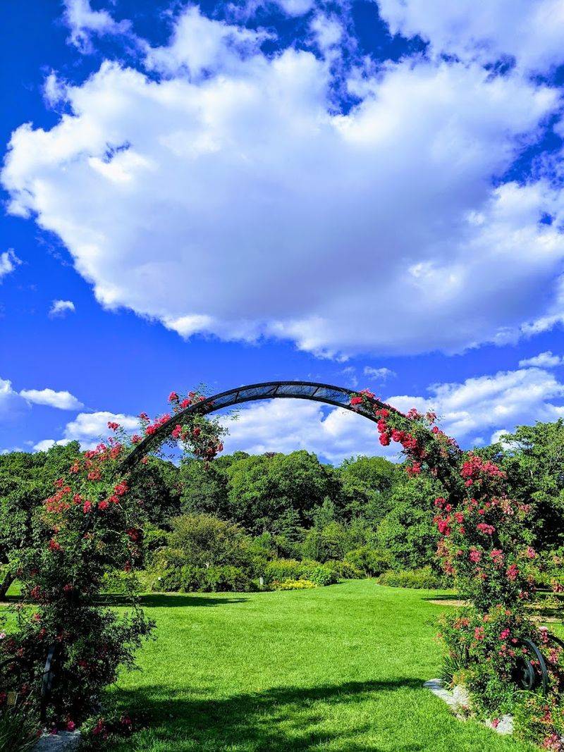 Arnold Arboretum
