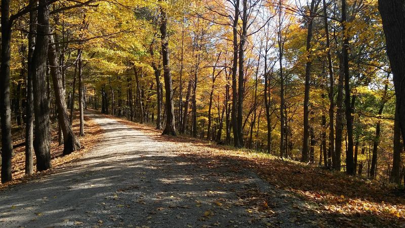 Scioto Trail State Park (Chillicothe)