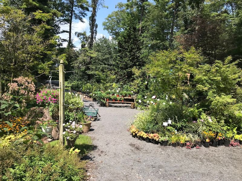 Fox Hill Gardens (State College)