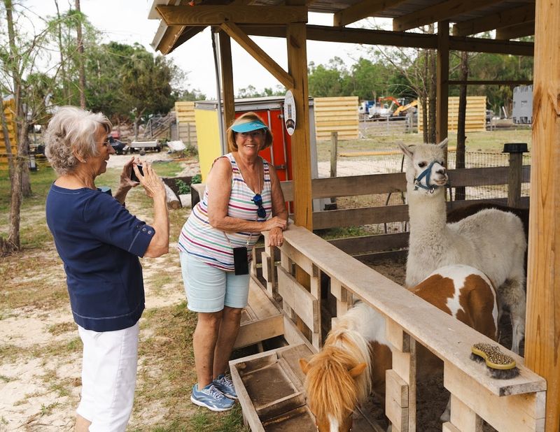 Exotic Animal Encounters