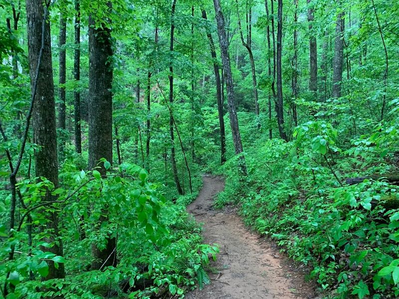 High Shoals Falls Trail