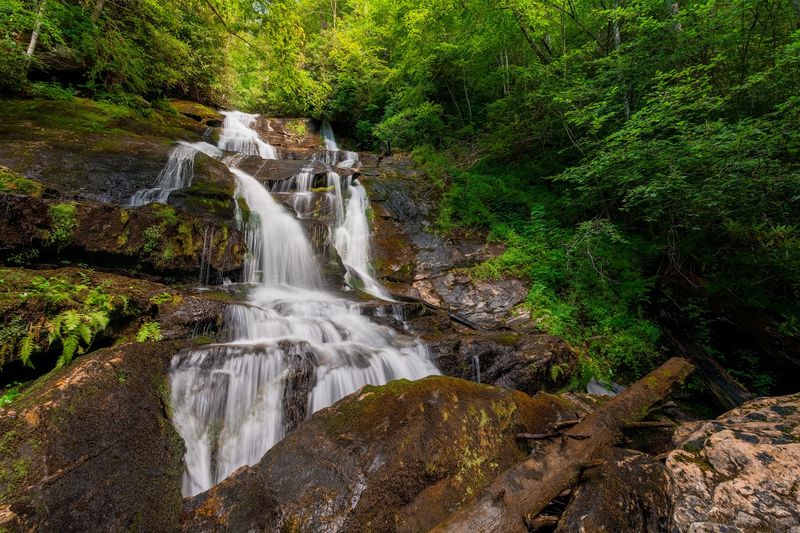 Ammons Creek Falls