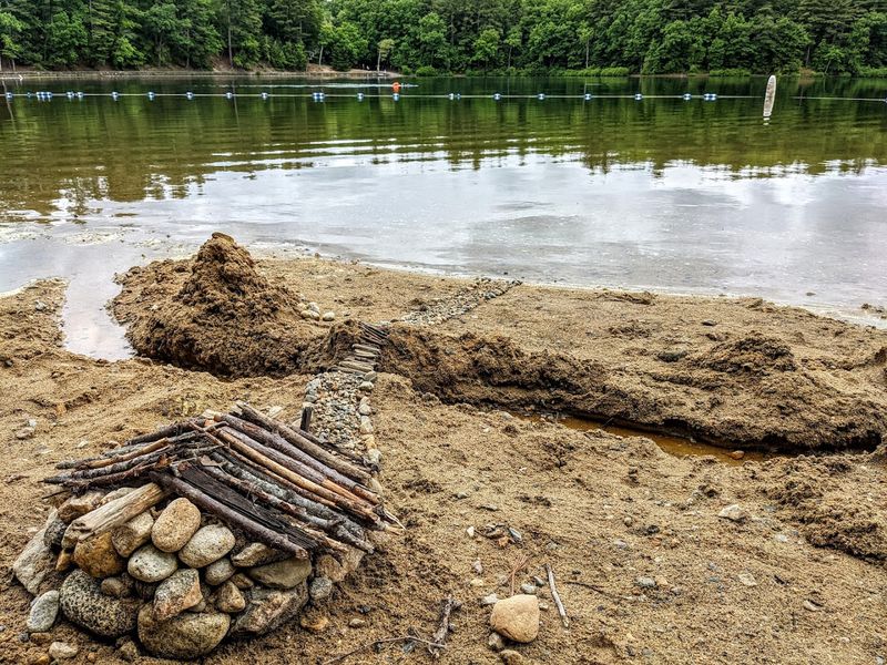 Walden Pond State Reservation