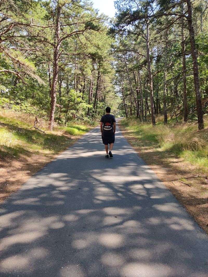 Cape Cod Rail Trail &ndash; South Yarmouth to Wellfleet