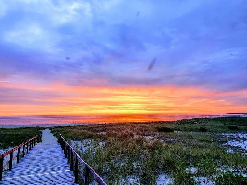 Crane Beach