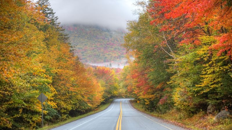 Mount Greylock Scenic Byway