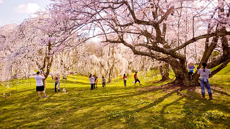 Ault Park