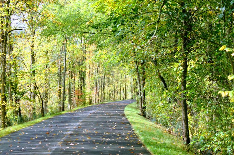 Amish Country Backroads
