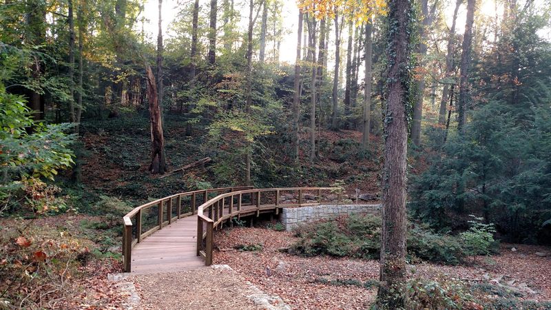 Fernbank Forest Wildflower Garden