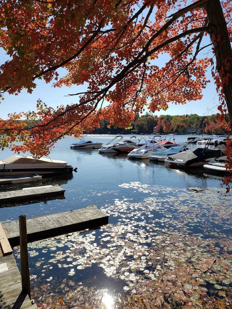 Autumn Foliage Floating Gallery