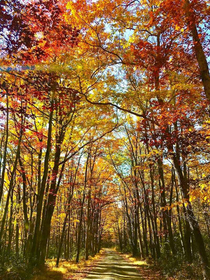 The Hiking Trails Showcase The Best Of The Pocono Mountains