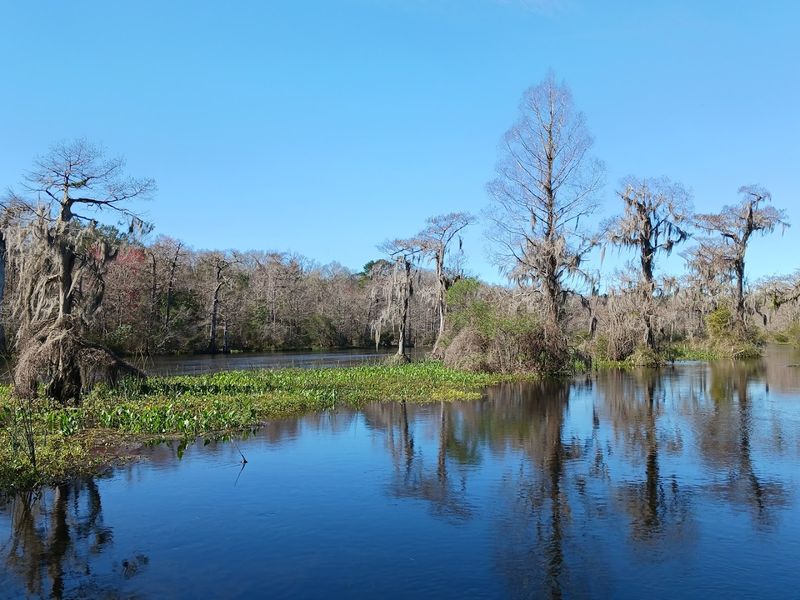 Wakulla Springs State Park