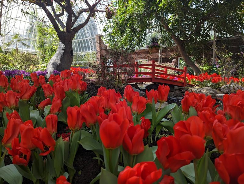 Phipps Conservatory and Botanical Gardens (Pittsburgh)
