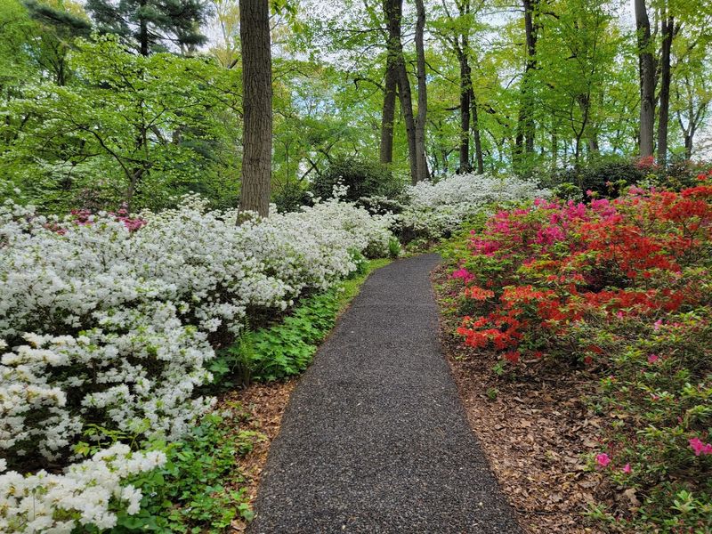 Jenkins Arboretum & Gardens (Devon)