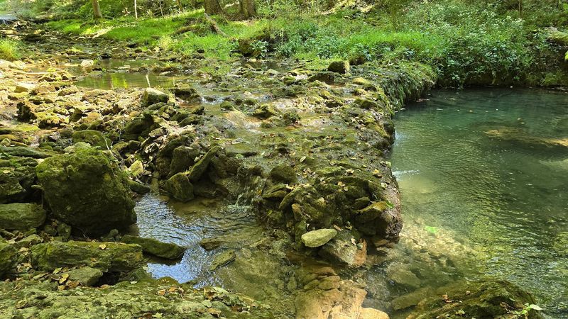 Pristine Spring-Fed Waterways
