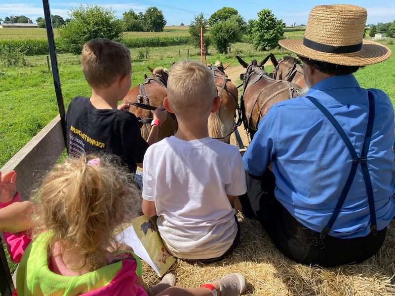The Horse-Drawn Hayride Adventure