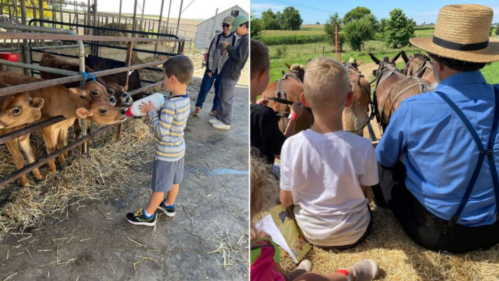 Most People Only See the Cities, but Pennsylvania&rsquo;s Real Heart Still Lives on the Farm