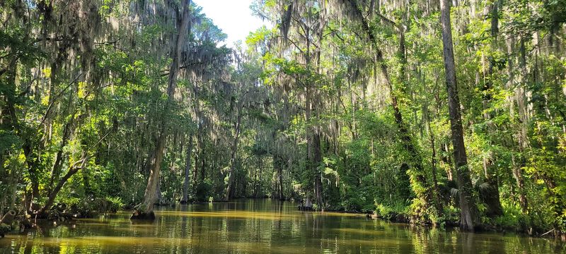 Dora Canal: The Heart of the Journey