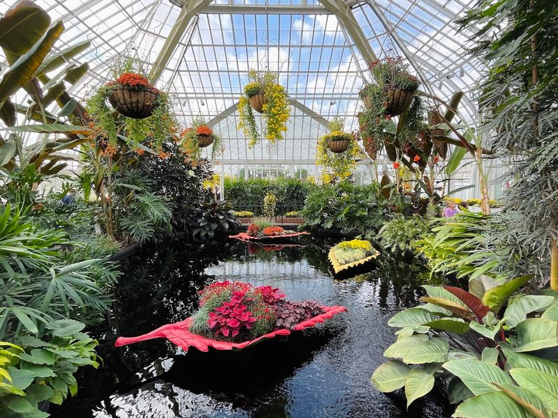 Phipps Conservatory area, Allegheny County