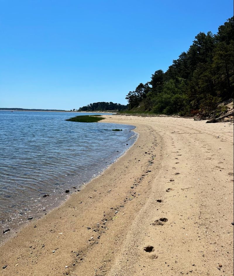 Great Island Trail – Wellfleet