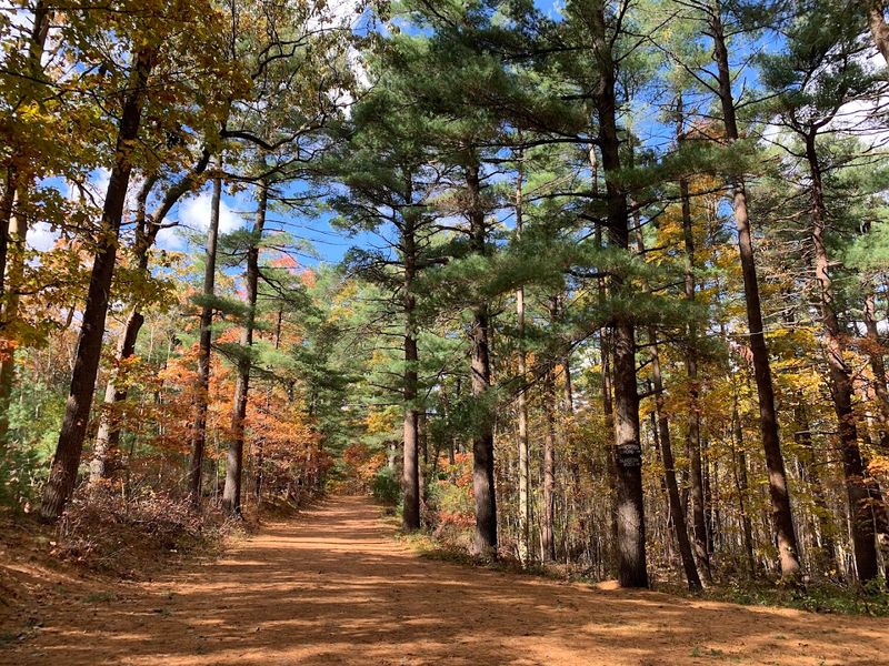 Lynn Woods Reservation