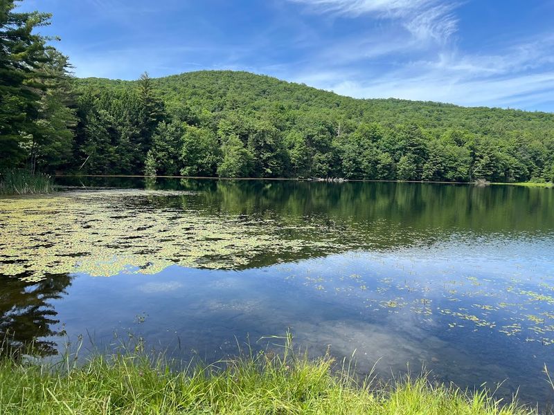 Mount Holyoke Range Trails – Amherst Area