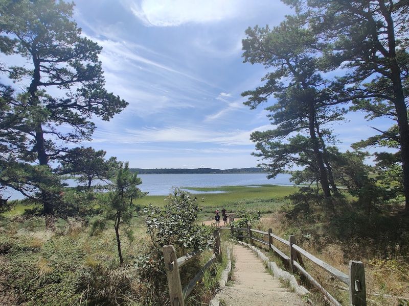 Great Island Trail