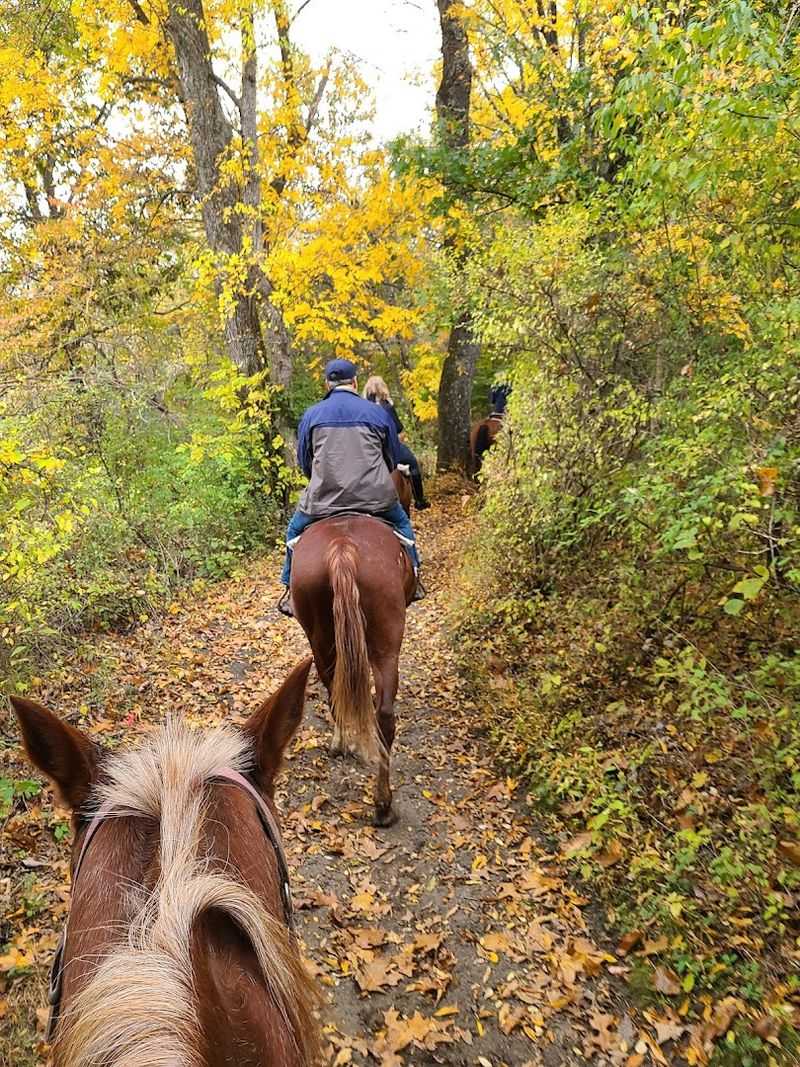 Bushkill Riding Stables (East Stroudsburg)