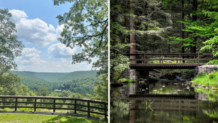 Mountain Streams And Forest Trails Make This Pennsylvania Spot Worth Discovering