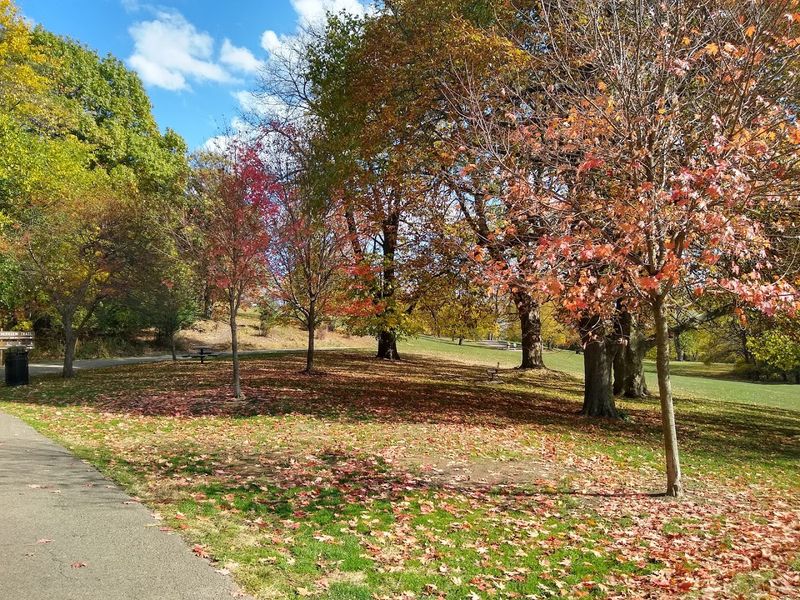 Spectacular Fall Foliage Rivals Mountain Destinations