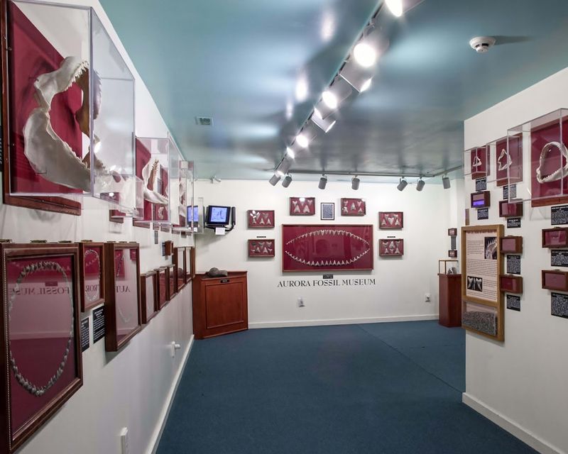 Aurora Fossil Museum (Aurora)