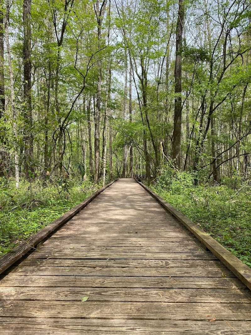 Wakulla Springs State Park &ndash; Spring Runs & Forest Walks