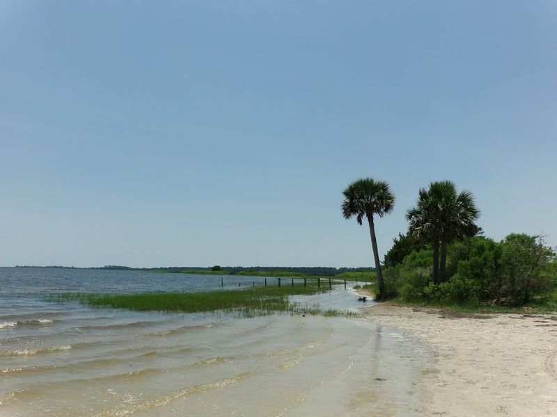 St. Marks National Wildlife Refuge