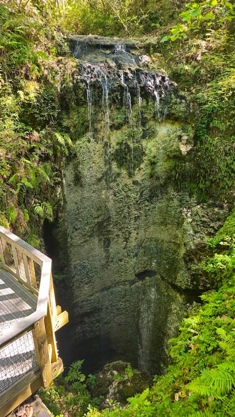 Falling Waters State Park