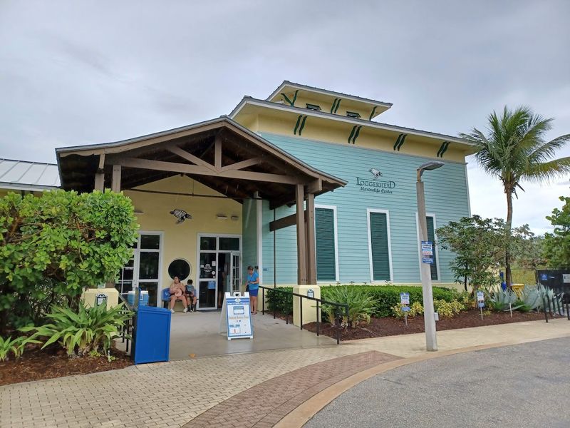 Loggerhead Marinelife Center, Juno Beach