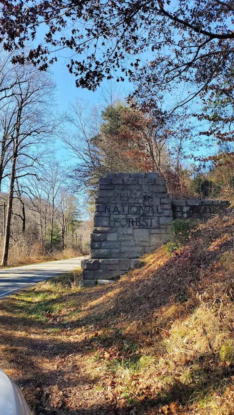 Forest Heritage Scenic Byway (US 276, Pisgah National Forest)
