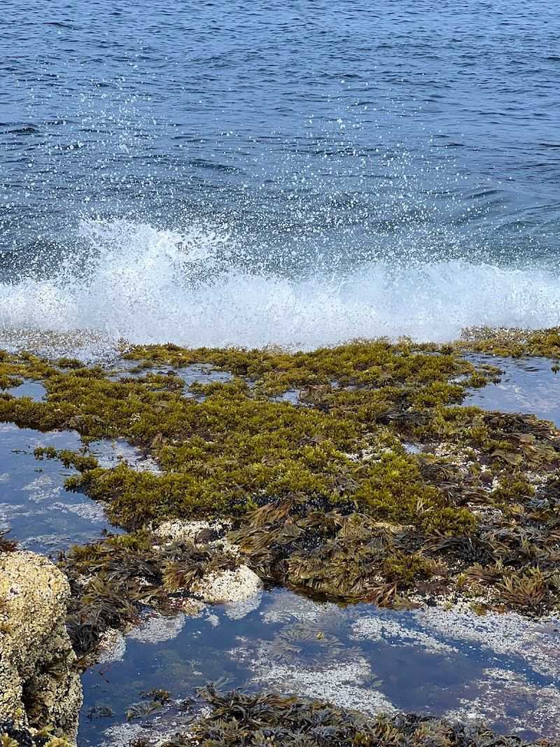 Rockport - Cape Ann
